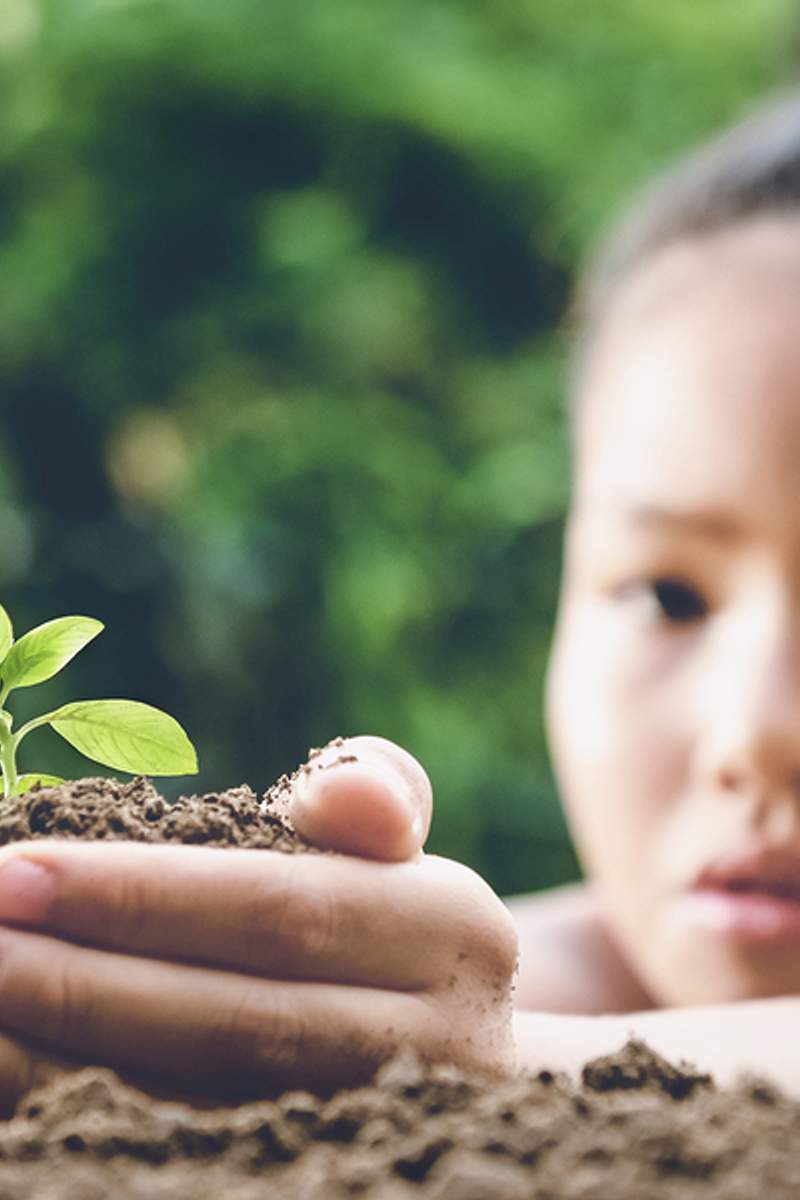 Kinderhanden die plantje vasthouden. 