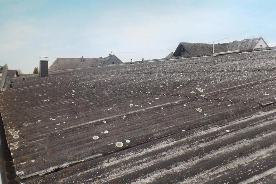 Novembre: asbestattest | DNS Belgium