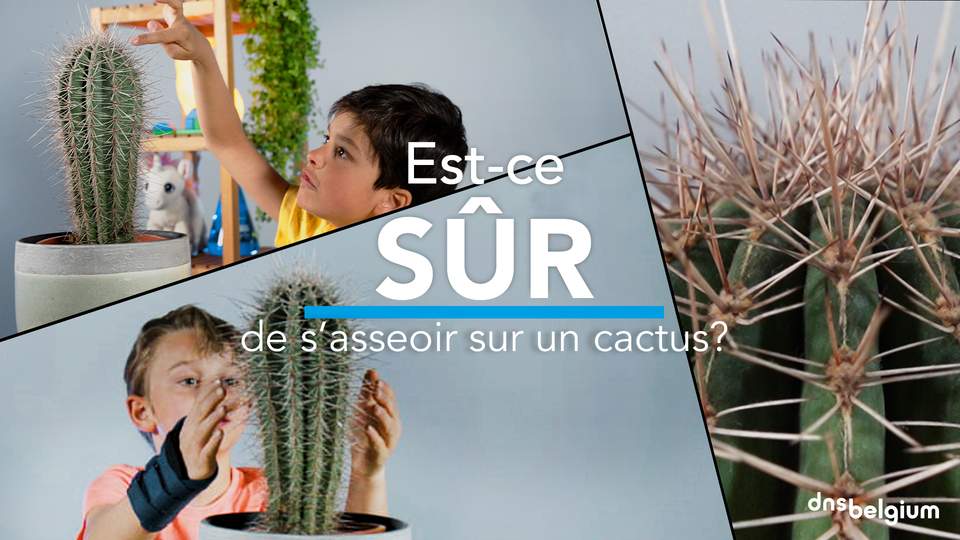 Est-ce sûr de s'asseoir sur un cactus ?