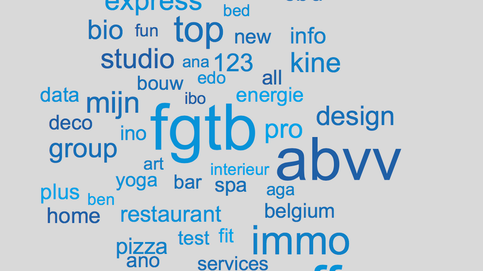 Klein naar groot: fgtb, abvv, offre, immo, top, box, team, België, mijn, express, kine, studio, bio, design, group, pro, one, 123, cbd, info, pizza, restaurant, club, home, plus, solutions, all, ano, Belgium, data, deco, energie, ino, new, spa, etc