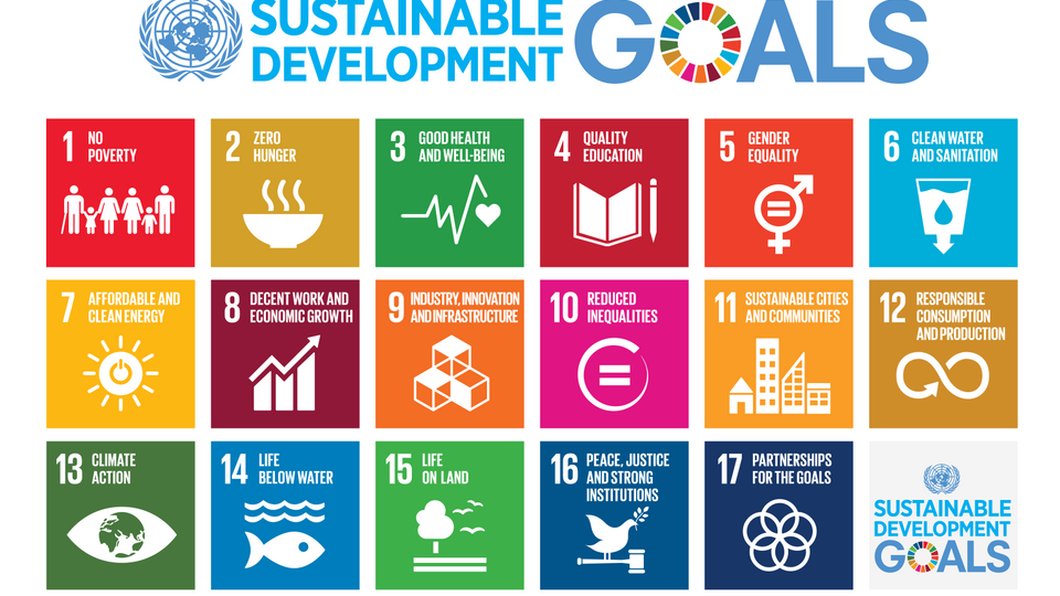 List of the 17 UN Sustainable Development Goals